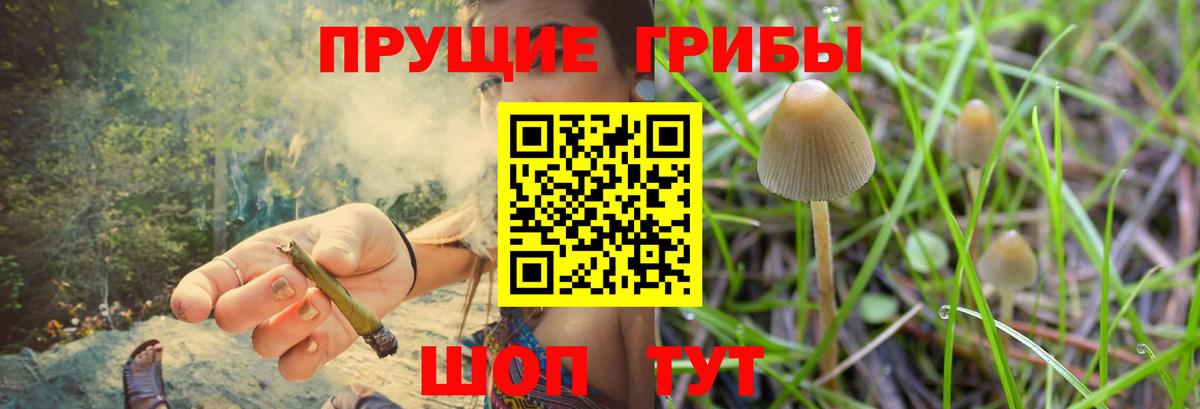 даркнет сайт  Псилоцибиновые грибы Cubensis  Вход с VPN  Хабаровск 
